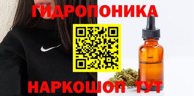 таблы Гусев