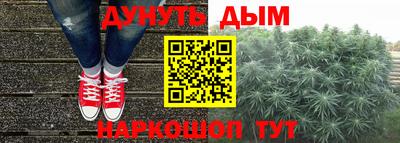 индика Гусиноозёрск